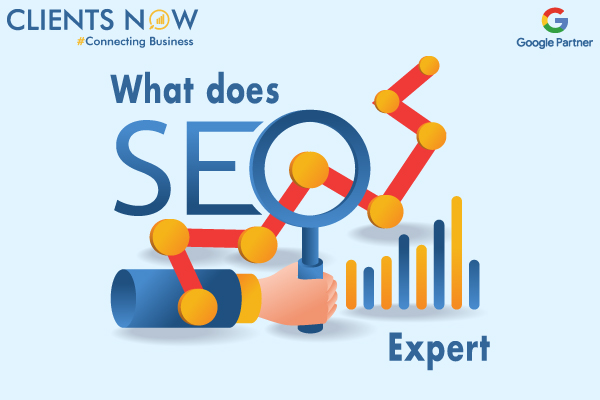 What does SEO expert do ?