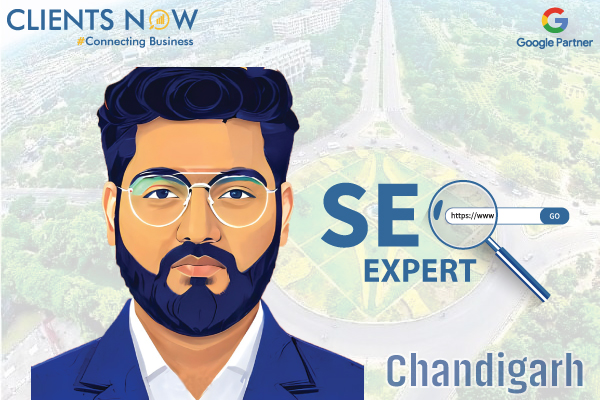 Best Seo Expert in Chandigarh